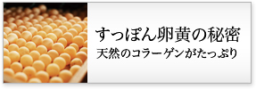 äݤ񲫤̩ ŷ顼󤬤äפ